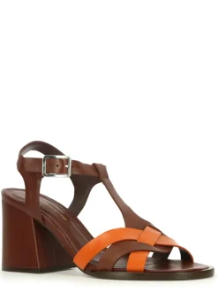 Cartechini Collection 1541017 ARAMAR Best