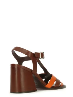 Cartechini Collection 1541017 ARAMAR Best