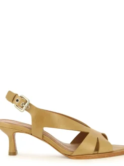 Cartechini Collection 1140016 BEIGE Outlet