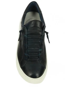 Pawelk's 20620 BLU Outlet