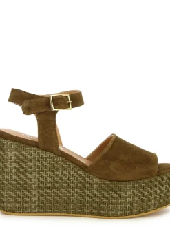 Curiosite 2480 BRUCIATO Best