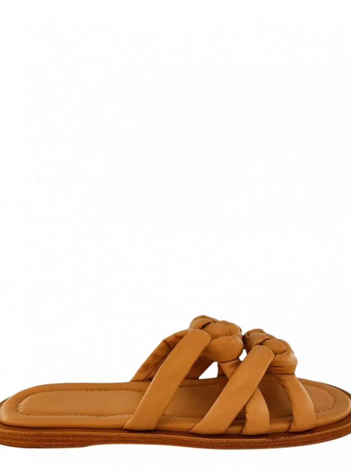 Cartechini Collection 949036 CIPRIA Online