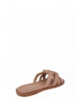 Cartechini Collection 949036 CIPRIA Online