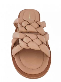 Cartechini Collection 949036 CIPRIA Online