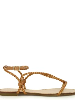 Cecconello 2234011 COCONUT Outlet