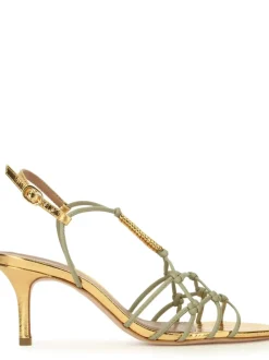 Cartechini Collection 1722011 OROROV Online