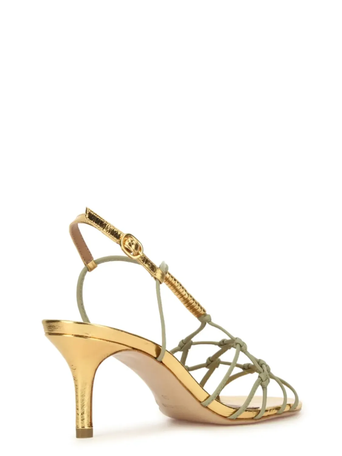 Cartechini Collection 1722011 OROROV Online