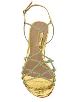 Cartechini Collection 1722011 OROROV Online