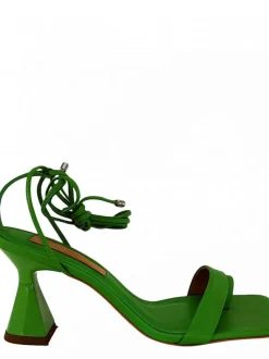 Cartechini Collection 1164004 VERDE Online