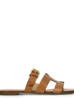 Cartechini Collection 2236-B-MU COCONUT Best