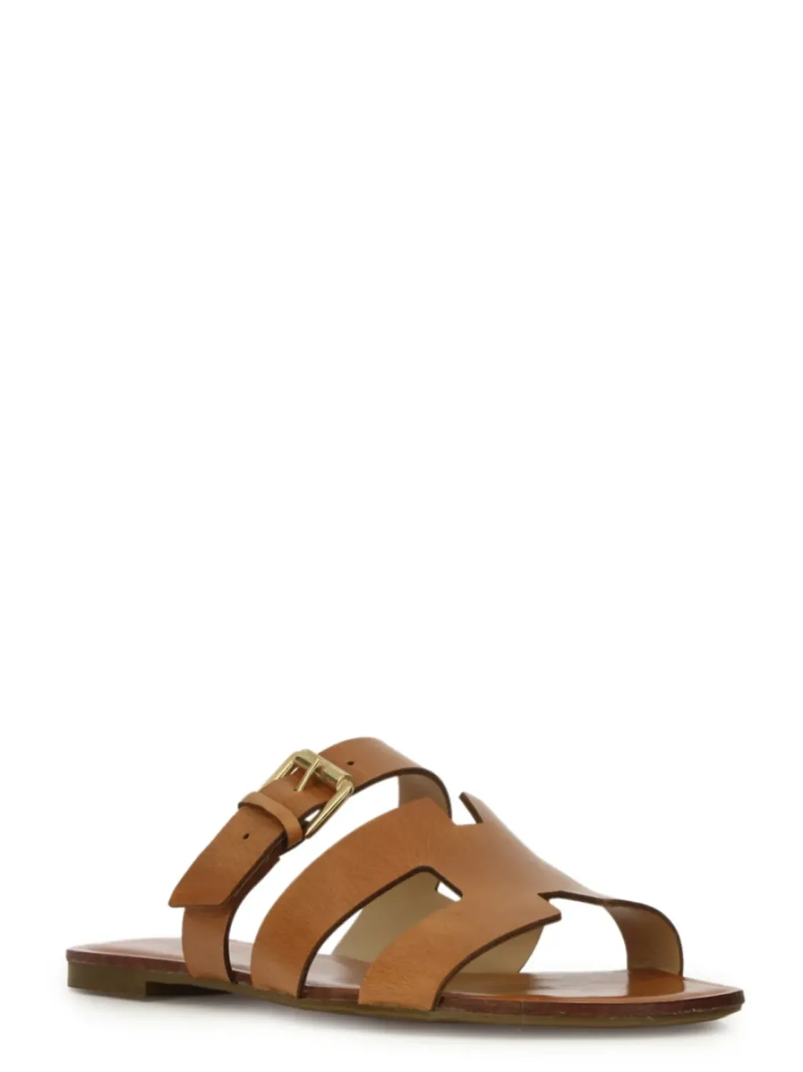 Cartechini Collection 2236-B-MU COCONUT Best